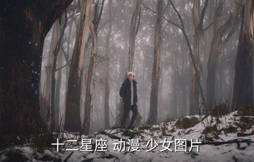 十二星座 動漫 少女圖片