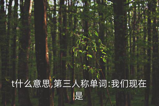 got什么意思,第三人稱(chēng)單詞:我們現(xiàn)在是