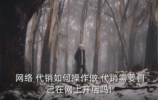  網絡 代銷如何操作做 代銷需要自己在網上開店嗎!
