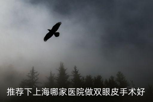 推薦下上海哪家醫(yī)院做雙眼皮手術好
