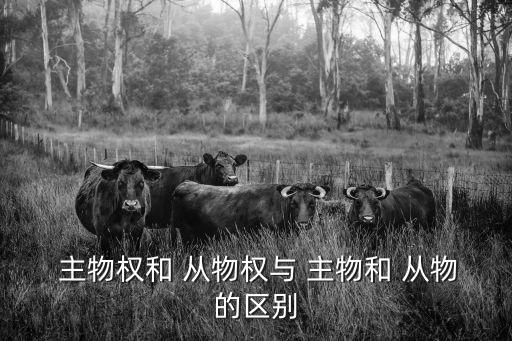主物和從物,主從關系明確主從必須是同一個人