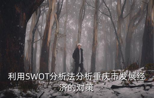 利用SWOT分析法分析重慶市發(fā)展經(jīng)濟(jì)的對(duì)策