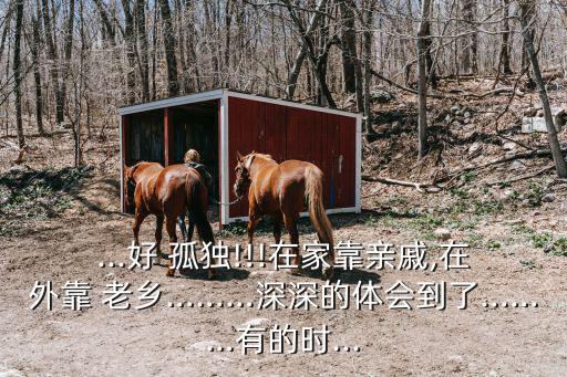 孤獨(dú)的老鄉(xiāng),你的孤獨(dú)是成長還是失敗?
