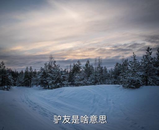 驢友的意思,驢友是戶外運(yùn)動(dòng)愛(ài)好者越來(lái)越普及
