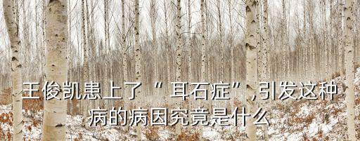 王俊凱患上了“ 耳石癥”,引發(fā)這種病的病因究竟是什么