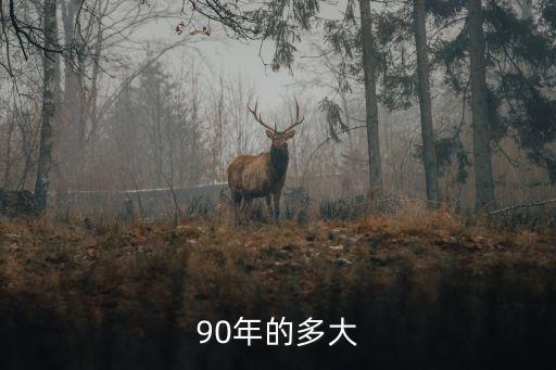 90年的多大