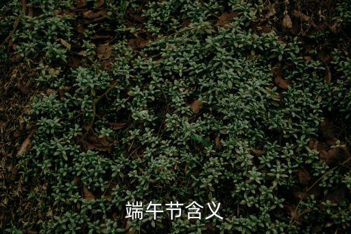 粽子的吉祥寓意，粽子送到家里含義好不好