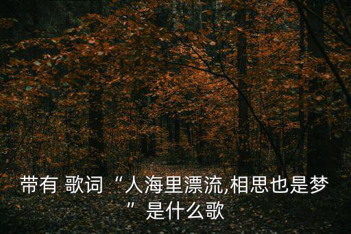 真情流露歌詞,《風(fēng)雨中相思》之浮在海上的日子