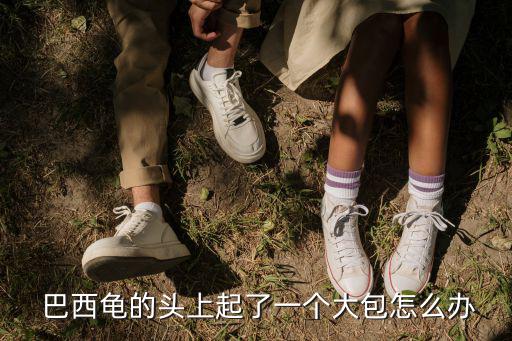 巴西護(hù)理,巴西烏龜養(yǎng)殖注意事項(xiàng):少喂也不要喂