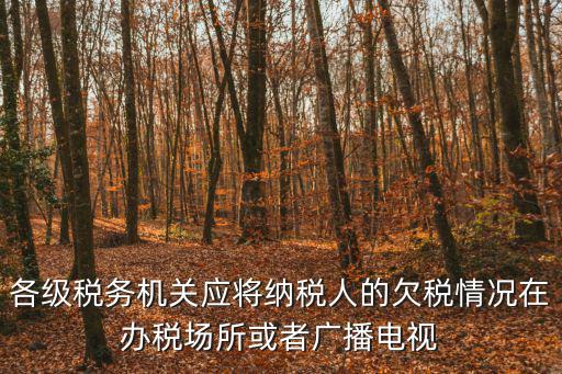 各級稅務機關應將納稅人的欠稅情況在辦稅場所或者廣播電視