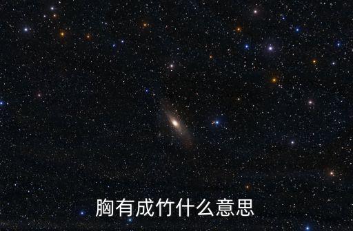 胸有成竹是什么意思，任勞任怨雨后春筍胸有成竹的意思