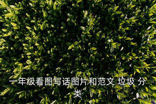 一年級看圖寫話圖片和范文 垃圾 分類