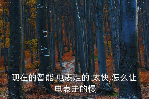 現在的智能 電表走的 太快,怎么讓 電表走的慢