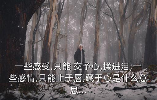 一些感受,只能 交予心,揉進淚;一些感情,只能止于唇,藏于心是什么意思...