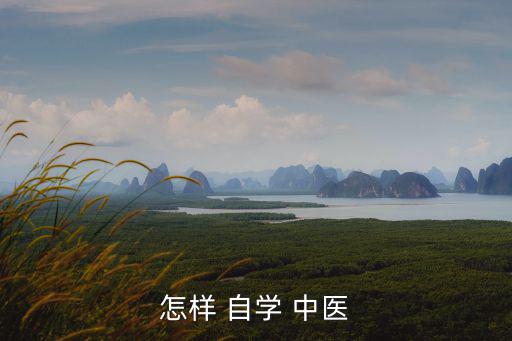 怎樣 自學 中醫(yī)