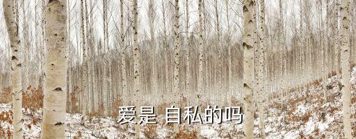 愛是自私的,發自內心默默送給他才是最高尚的事!