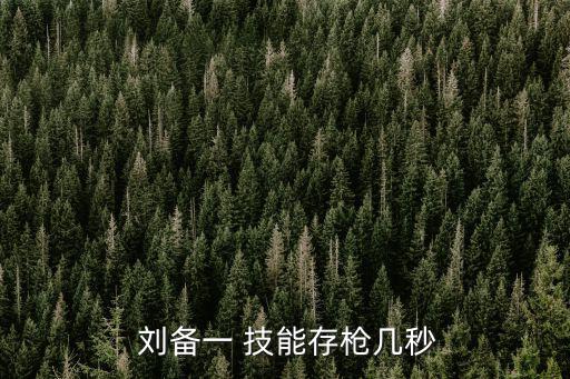  劉備一 技能存槍幾秒