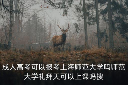 成人高考可以報考上海師范大學嗎師范大學禮拜天可以上課嗎搜