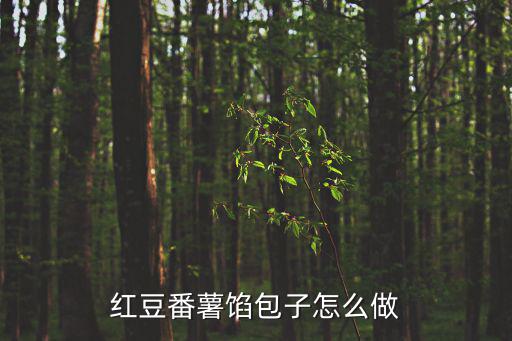 紅薯包子的做法，紅豆番薯餡包子怎么做