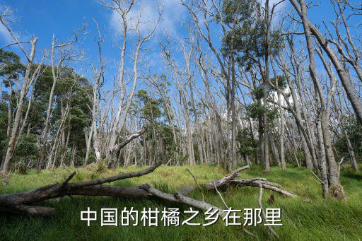 重慶市忠縣橘之源，中國(guó)柑橘城在哪兒是不是就只有柑橘
