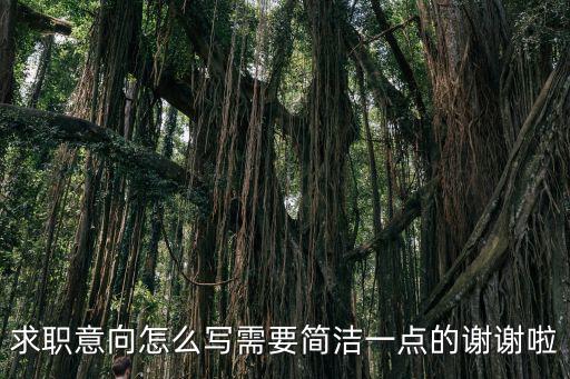 求職意向怎么寫需要簡潔一點(diǎn)的謝謝啦