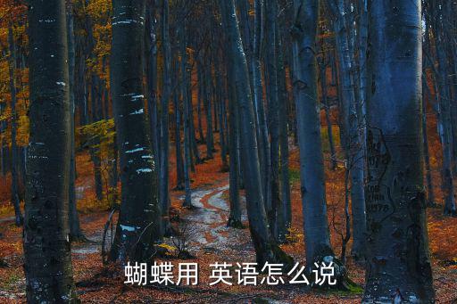  蝴蝶用 英語怎么說