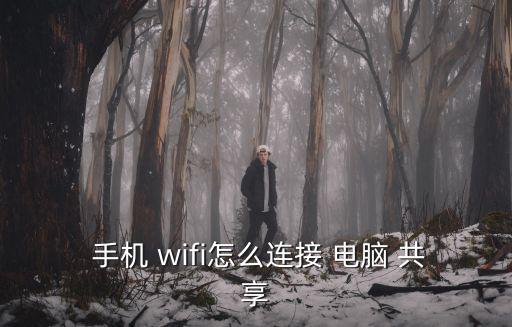  手機 wifi怎么連接 電腦 共享
