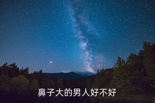 鼻子大的男人好不好