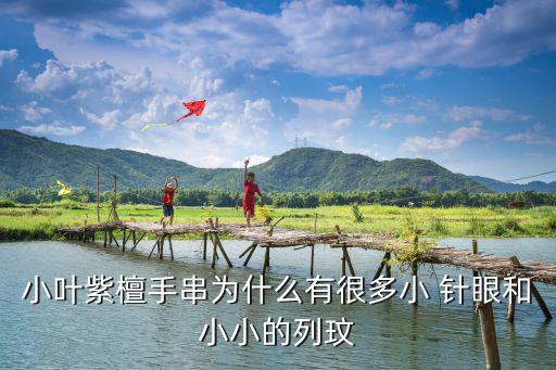 為什么會長針眼,三紫檀手串出現針眼原因及解決方法