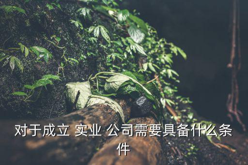 對于成立 實(shí)業(yè) 公司需要具備什么條件