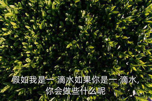 假如我是一 滴水如果你是一 滴水,你會做些什么呢