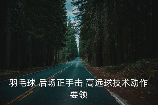 羽毛球 后場正手擊 高遠(yuǎn)球技術(shù)動(dòng)作要領(lǐng)