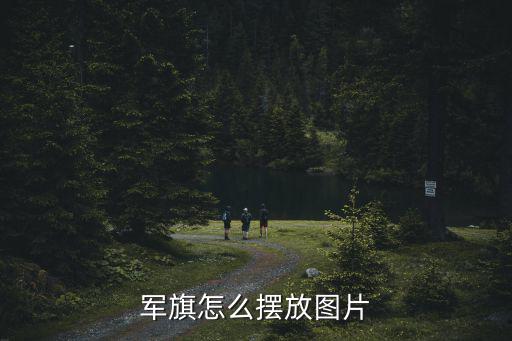 棋子圖片,中國(guó)軍棋布局:25名棋手可在棋盤上任何地方布局