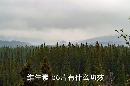  維生素 b6片有什么功效