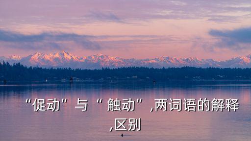 “促動”與“ 觸動”,兩詞語的解釋,區(qū)別