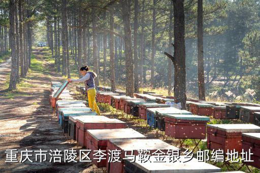 重慶市涪陵區李渡馬鞍金銀鄉郵編地址