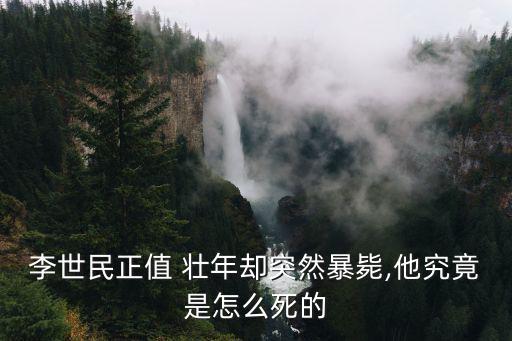 正值壯年,朱瞻基之死意料之外李世民身體須付出代價(jià)