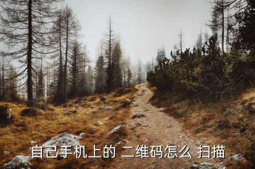 自己手機(jī)上的 二維碼怎么 掃描