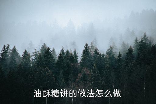 怎么做糖餅,第二集:炸糖餅的做法!