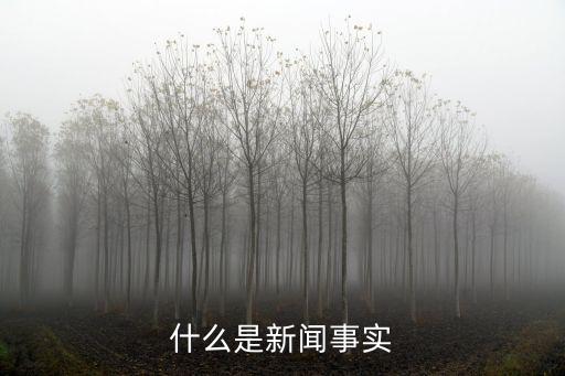什么是新聞事實