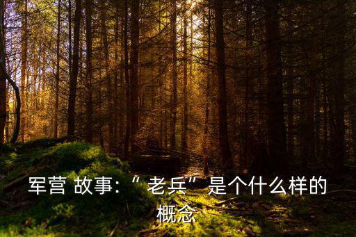 軍營(yíng) 故事:“ 老兵”是個(gè)什么樣的概念