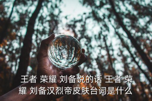 王者榮耀劉備,劉備以德服人(大招)有以下效果