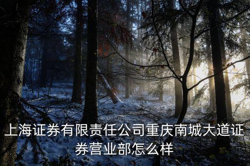上海證券有限責任公司重慶南城大道證券營業部怎么樣