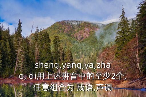 sheng,yang,ya,zhao, di用上述拼音中的至少2個,任意組合為 成語,聲調
