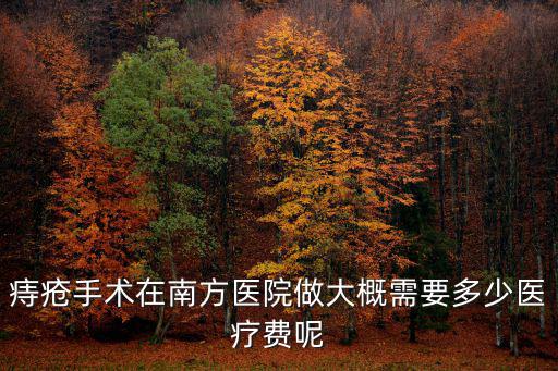 痔瘡手術在南方醫院做大概需要多少醫療費呢