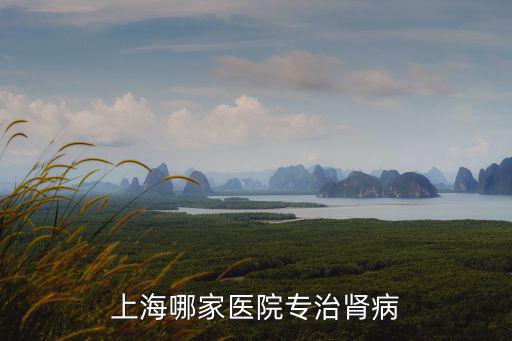 上海哪家醫院專治腎病