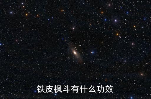 鐵皮楓斗有什么功效