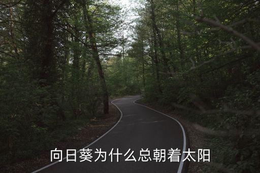 向日葵為什么總朝著太陽
