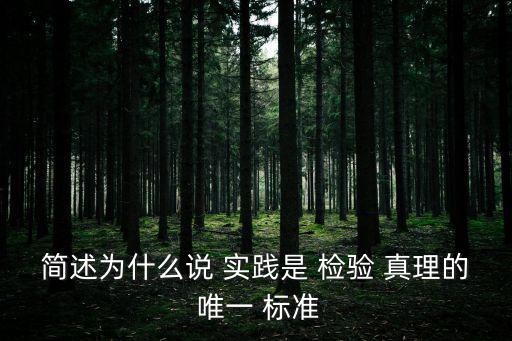 為什么實踐是檢驗真理的唯一標準,真理from實踐to實踐