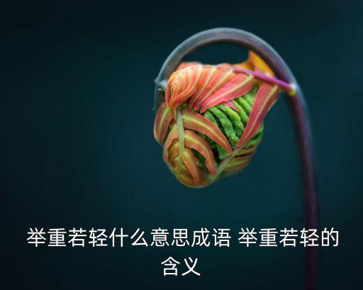  舉重若輕什么意思成語 舉重若輕的含義